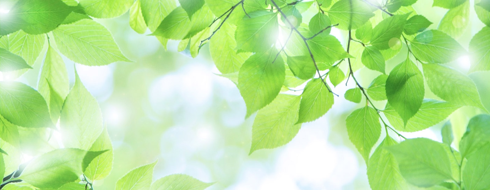 キービジュアルイメージ01